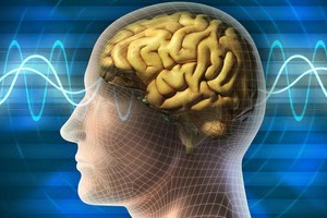 Les qualitÃ©s mentales