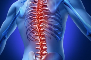 Les qualitÃ©s physiques